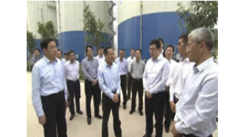 聚焦区域环境治理：广西壮族自治区主席陈武考察幸运传世生态循环产业园