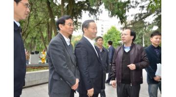 广西壮族自治区党委书记彭清华视察幸运传世项目