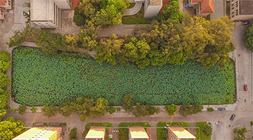 喜讯｜幸运传世中标广西大学水污染治理项目