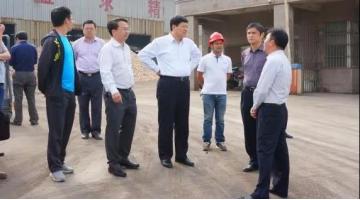 广西环保厅厅长檀庆瑞考察幸运传世污水处理厂项目