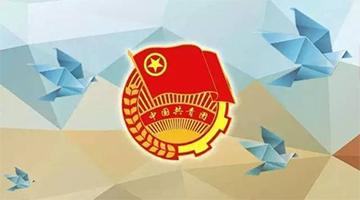 幸运传世团委简介