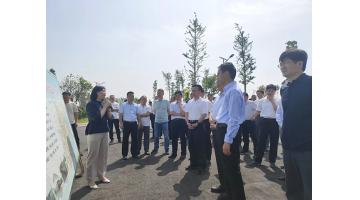 泗阳县党政代表团莅临泗洪幸运传世考察