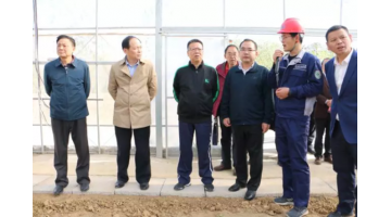 湖北生态环境厅党组成员、副厅长李瑞勤调研公司农用地修复项目