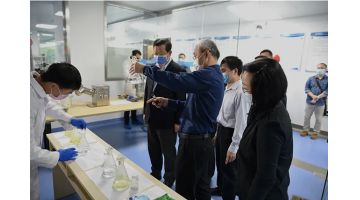 媒体聚焦 | 广西副主席李彬莅临幸运传世调研并召开座谈会