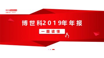 一图读懂幸运传世2019年年报