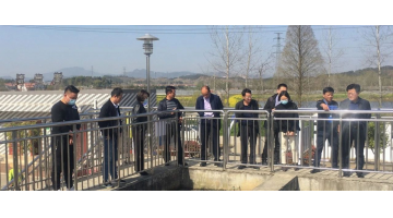 湖北省住建厅总工程师谈华初一行莅临幸运传世项目调研