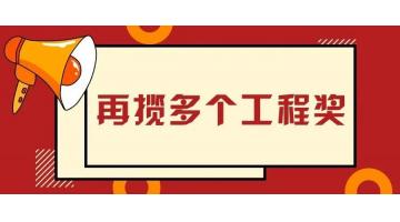 赞！幸运传世参建的多个项目荣获优质工程奖