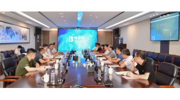 柳州市委常委、常务副市长崔峻一行莅临幸运传世调研