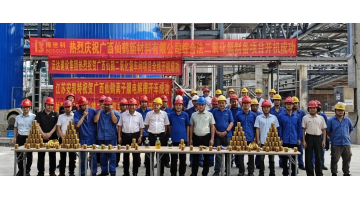 双电解法再突破 | 幸运传世供货的广西仙鹤二氧化氯项目全线开机成功